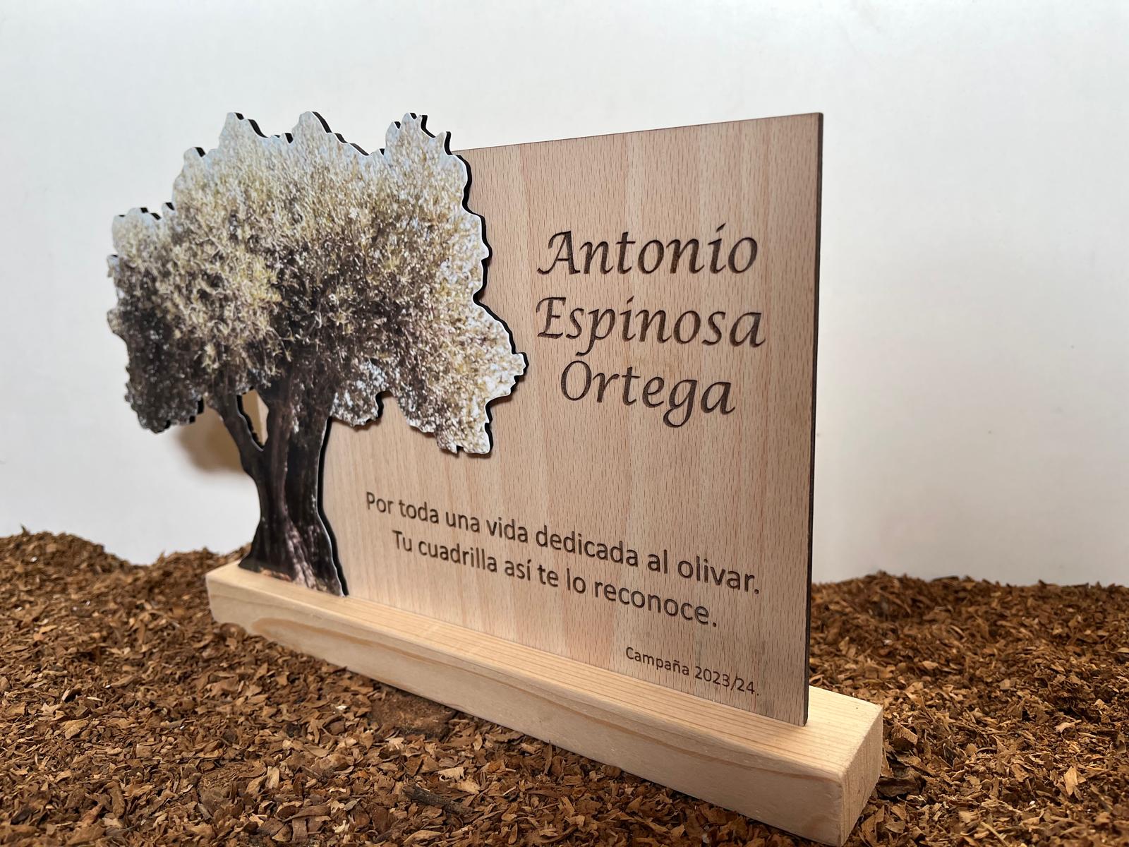 Placa olivo